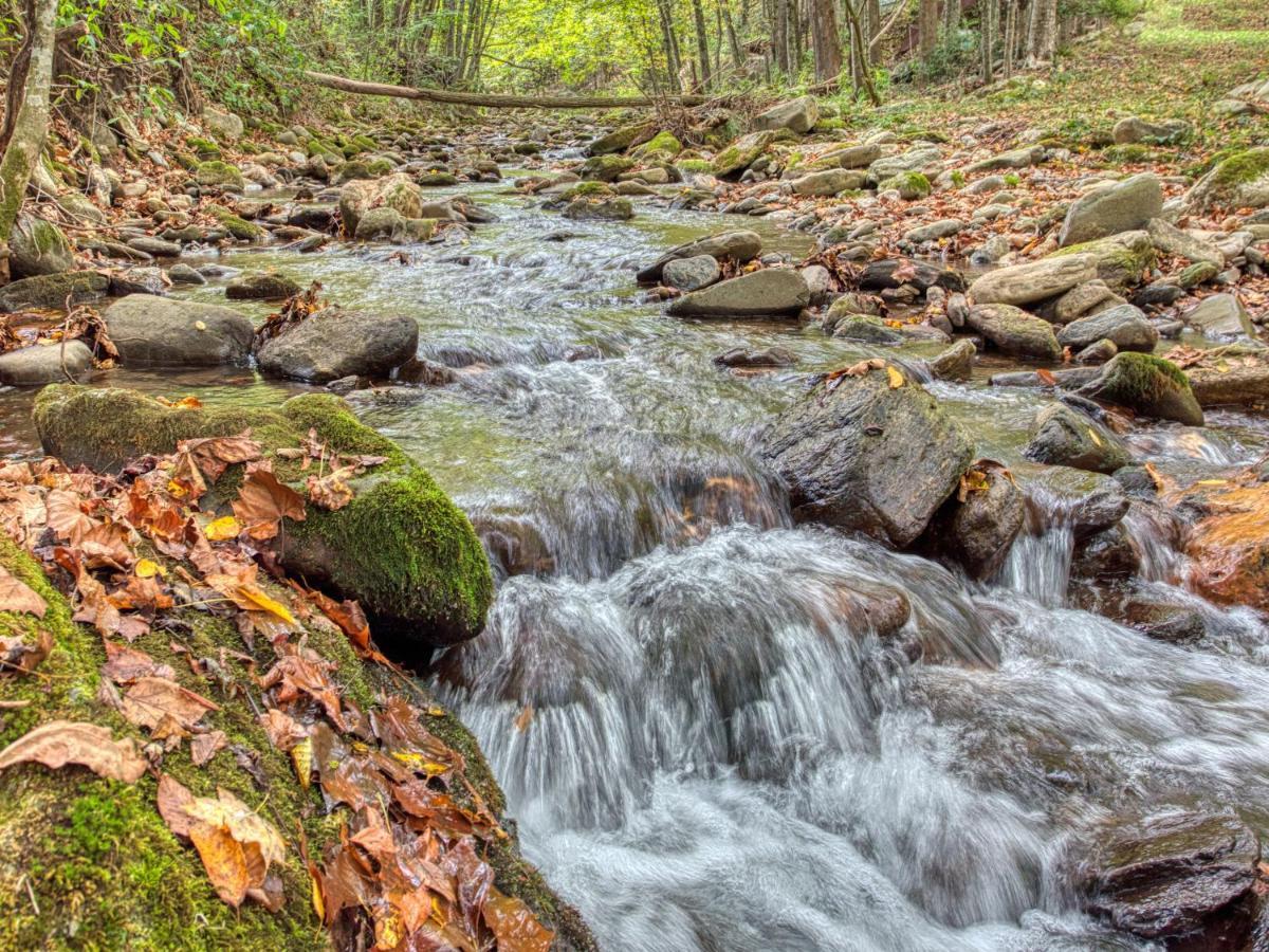 Maggie Valley Cabin Rentals Luaran gambar